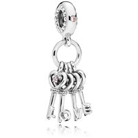 Charm Pandora in Argento 797654NPMMX - 797654NPMMX